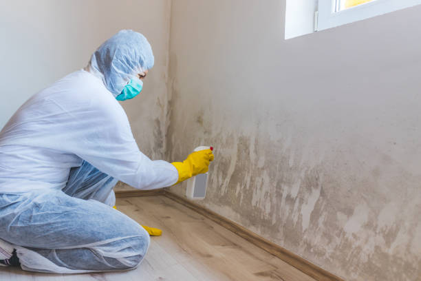 Certified Mold Removal in St Albans, VT